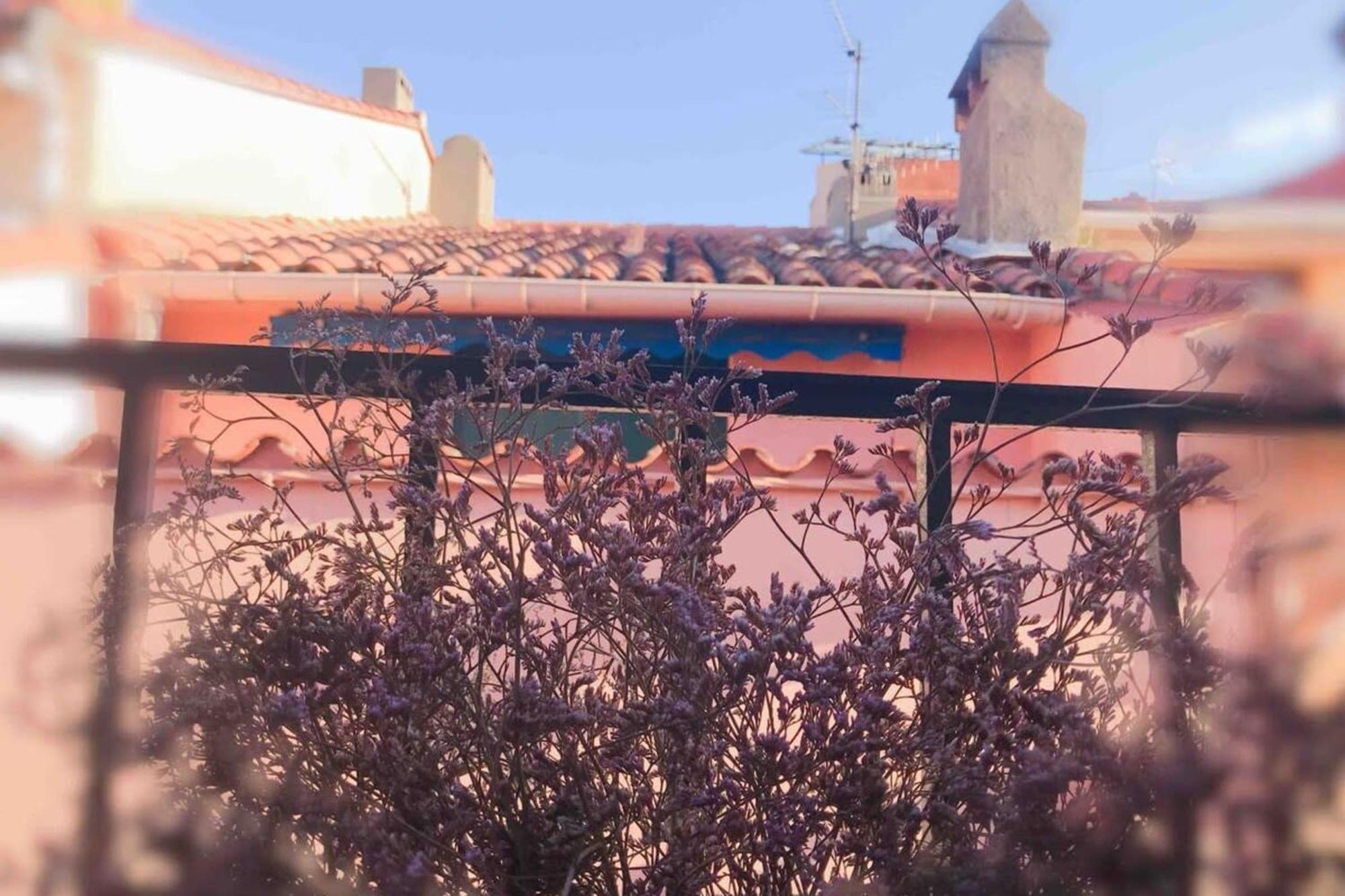 Residence St Vincent Collioure Eksteriør bilde